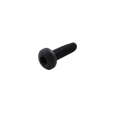 Black Screw Pan Torx Type F 1/4-20 x 1"