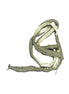TADPOLE 1/4" ROPE OSBURN HB33 (PRICE FOR 1 LINEAR FOOT )