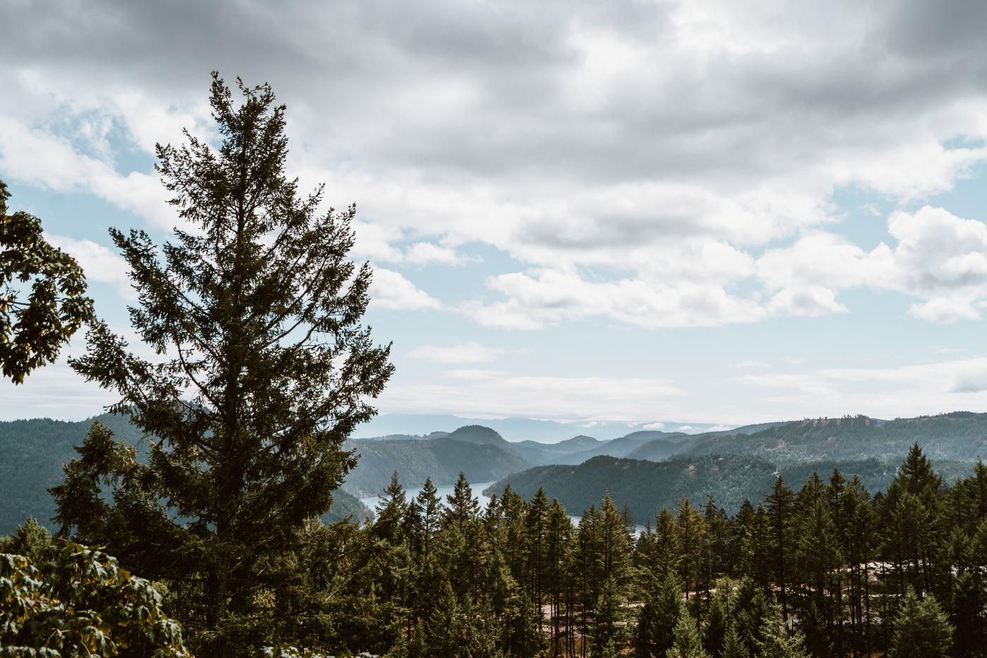 North American mountains